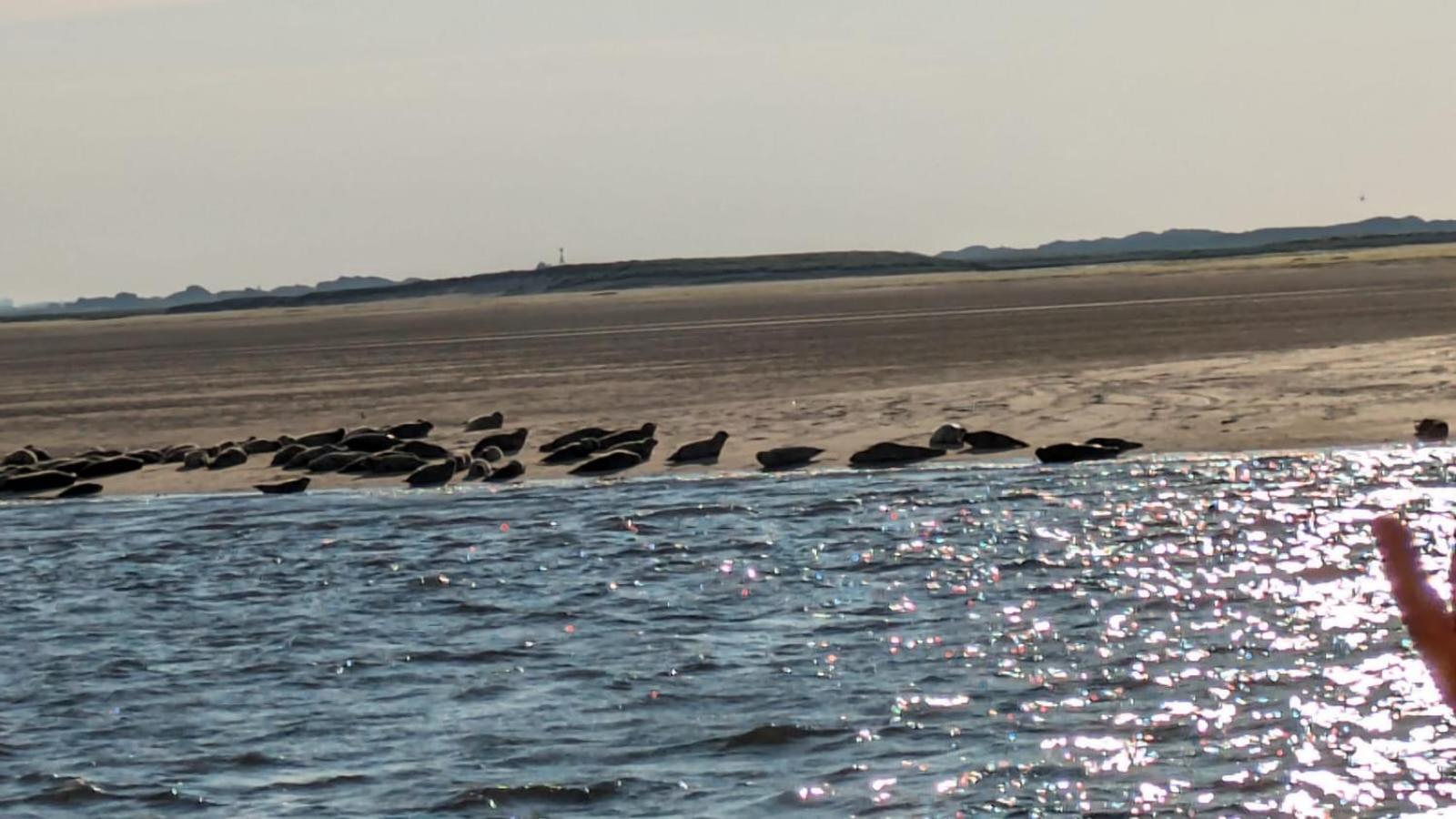 Drei-Insel-Blick Neßmersiel Dış mekan fotoğraf