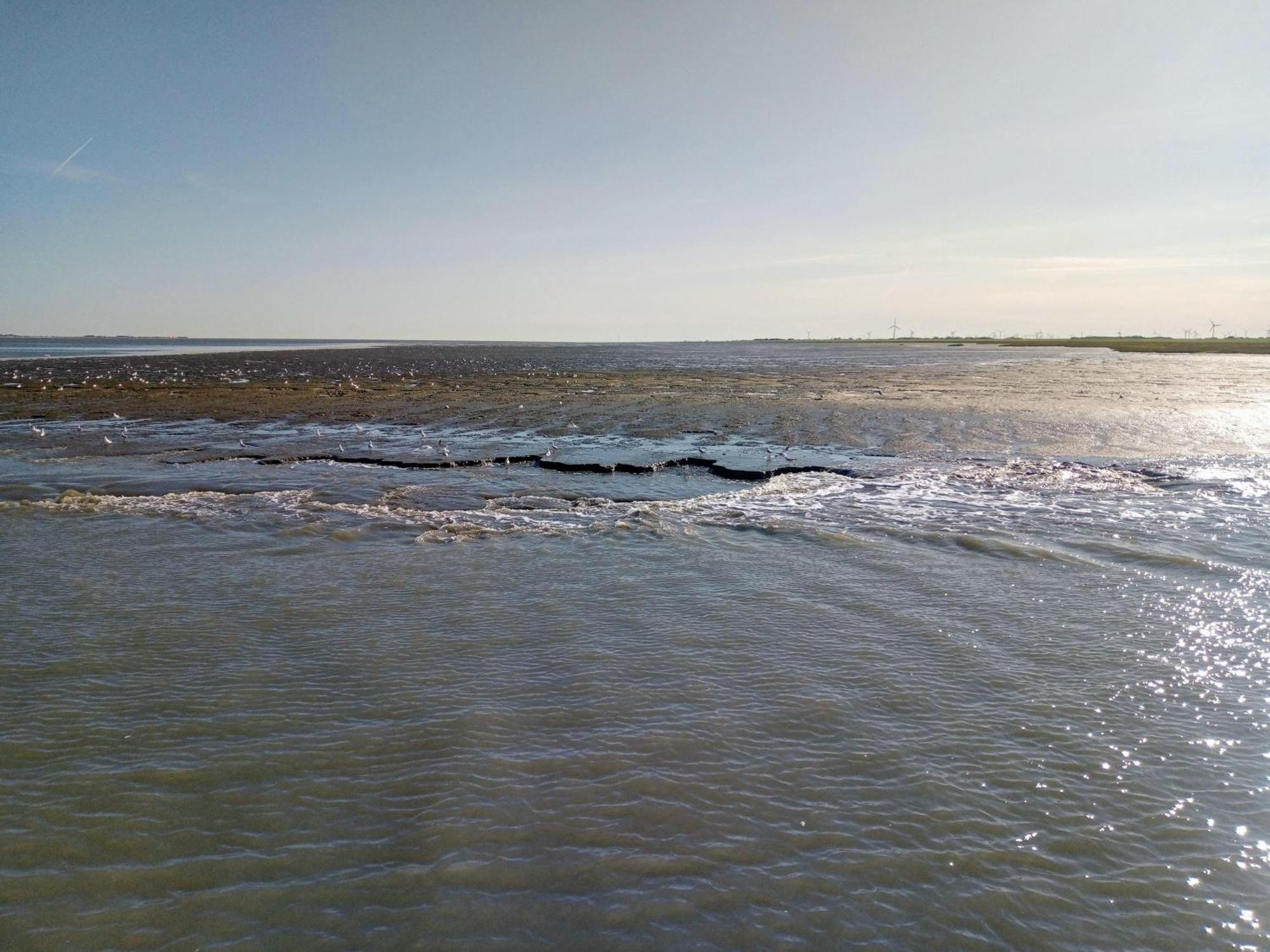 Drei-Insel-Blick Neßmersiel Dış mekan fotoğraf