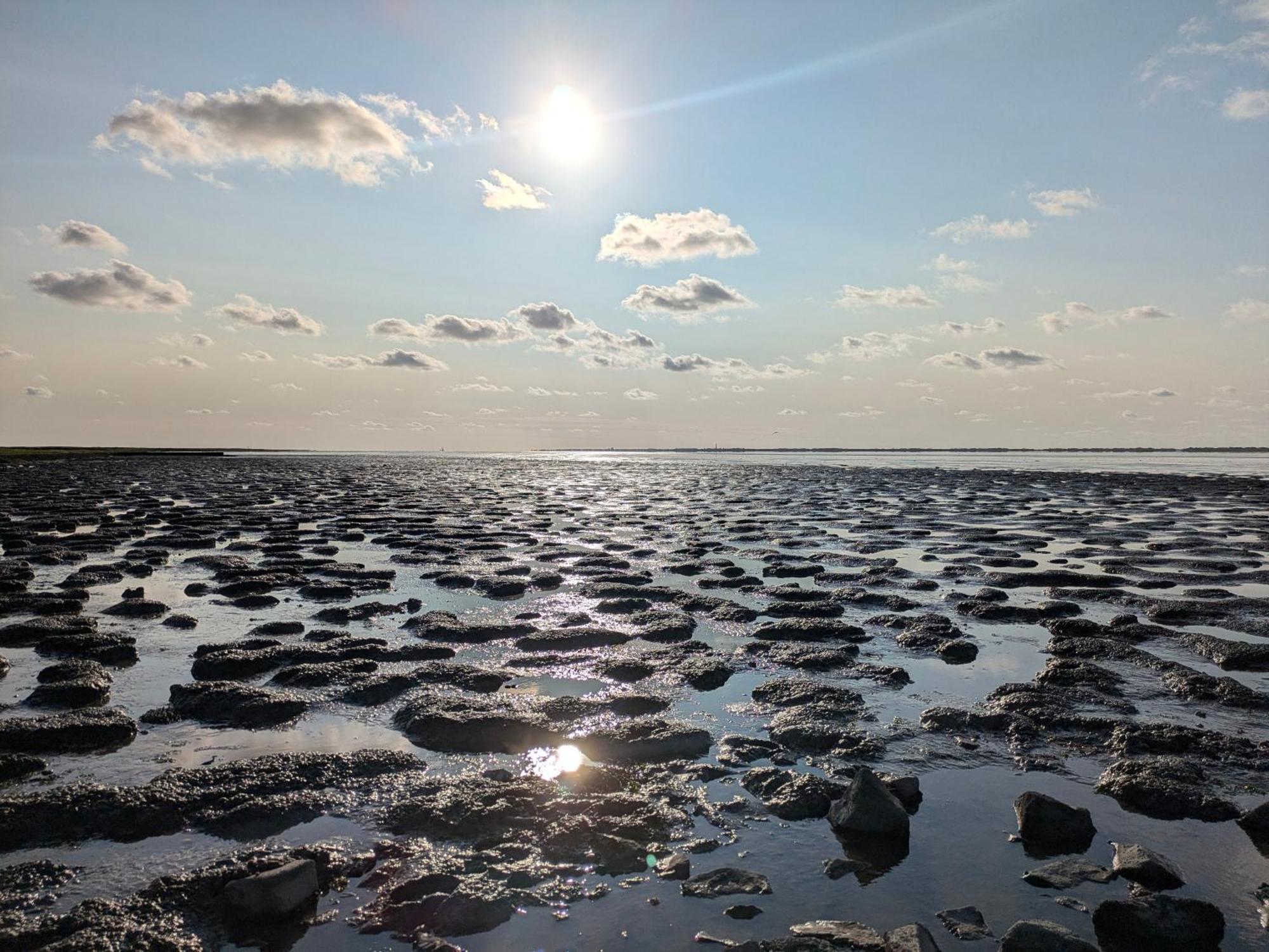 Drei-Insel-Blick Neßmersiel Dış mekan fotoğraf